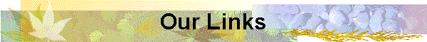 Our Links